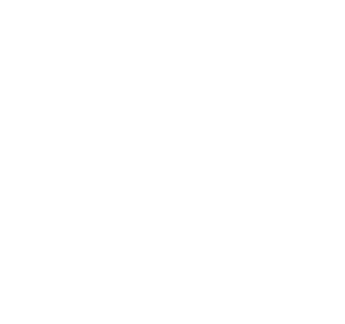 White Logo of Blank Web Services